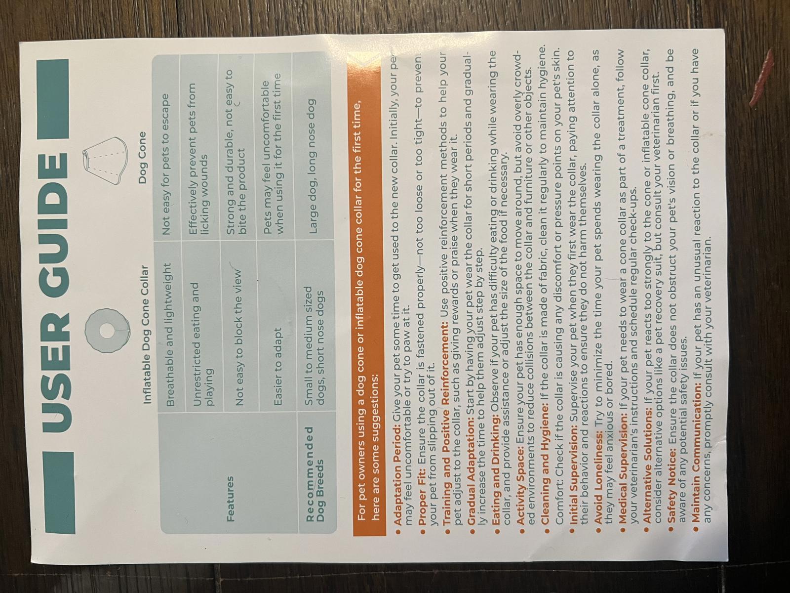 Ipetstation Pet Recovery E Collar Cone Large Cute Strawberry & Red Designs