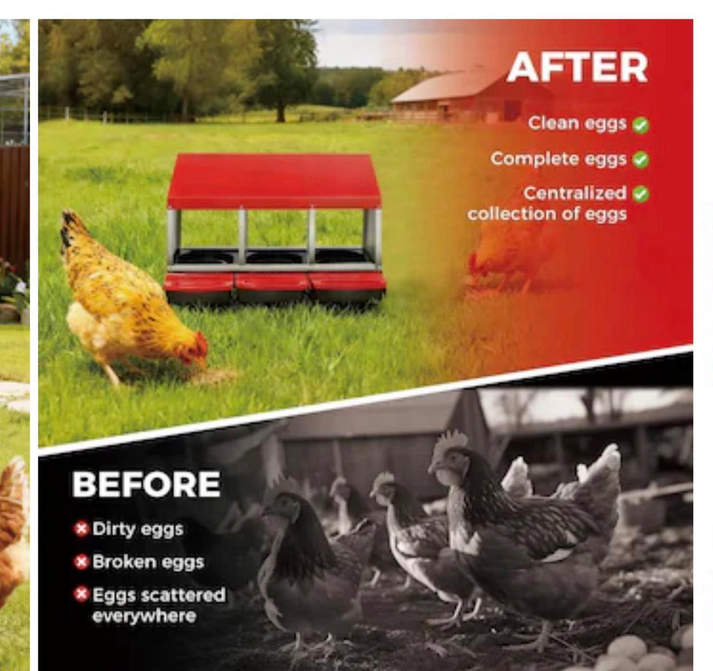 Garvee 3 Holes Galvanized Steel Chicken Nesting Box with Automatic Roll Out Egg-