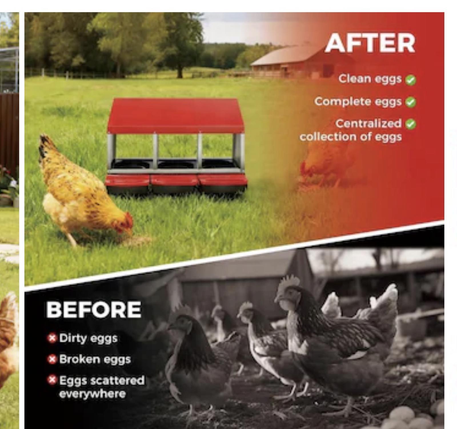 Garvee 3 Holes Galvanized Steel Chicken Nesting Box with Automatic Roll Out Egg-