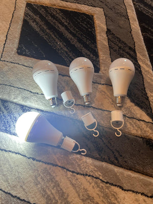 Set of 4 LED Light Bulbs with Hooks - 8 Inch, Bright White