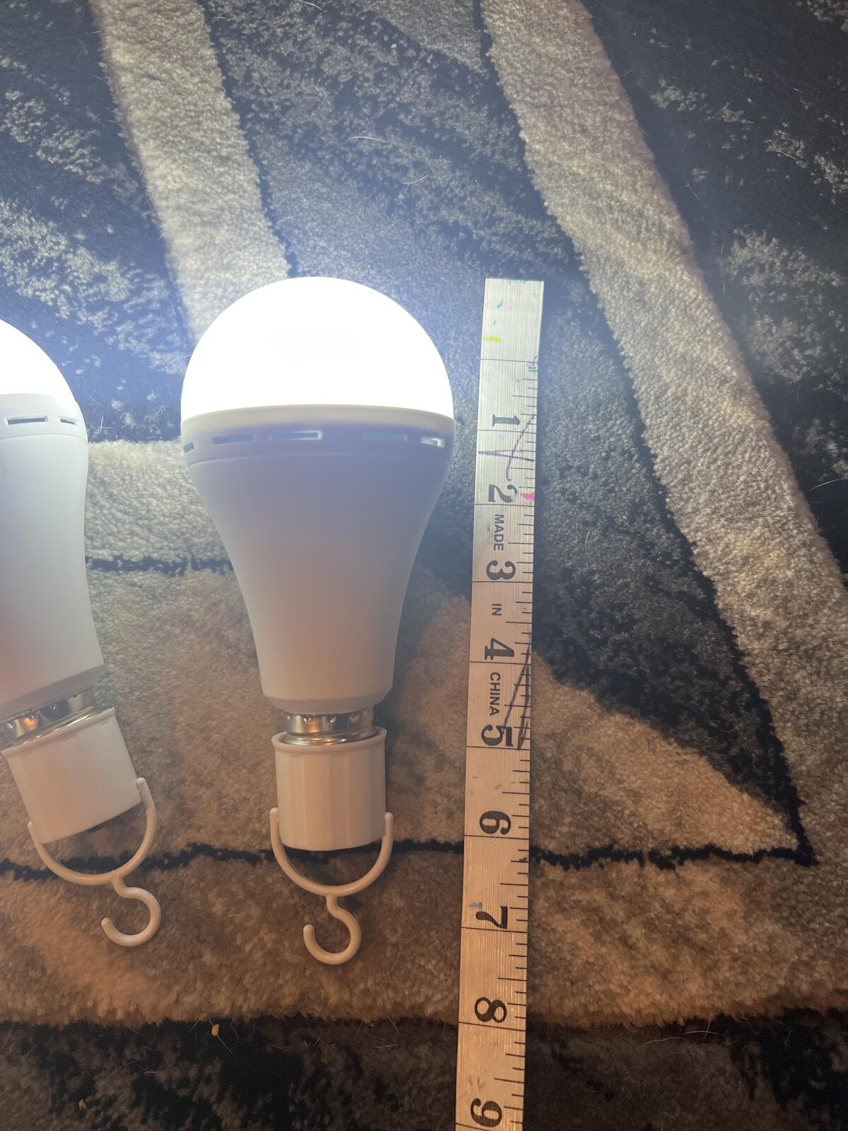 Set of 4 LED Light Bulbs with Hooks - 8 Inch, Bright White