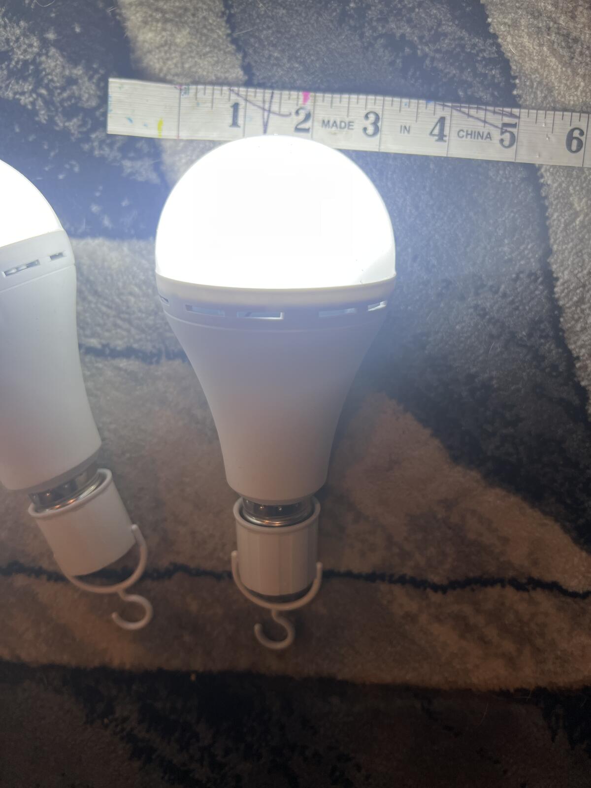 Set of 4 LED Light Bulbs with Hooks - 8 Inch, Bright White